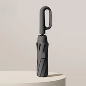 Smart Umbrella